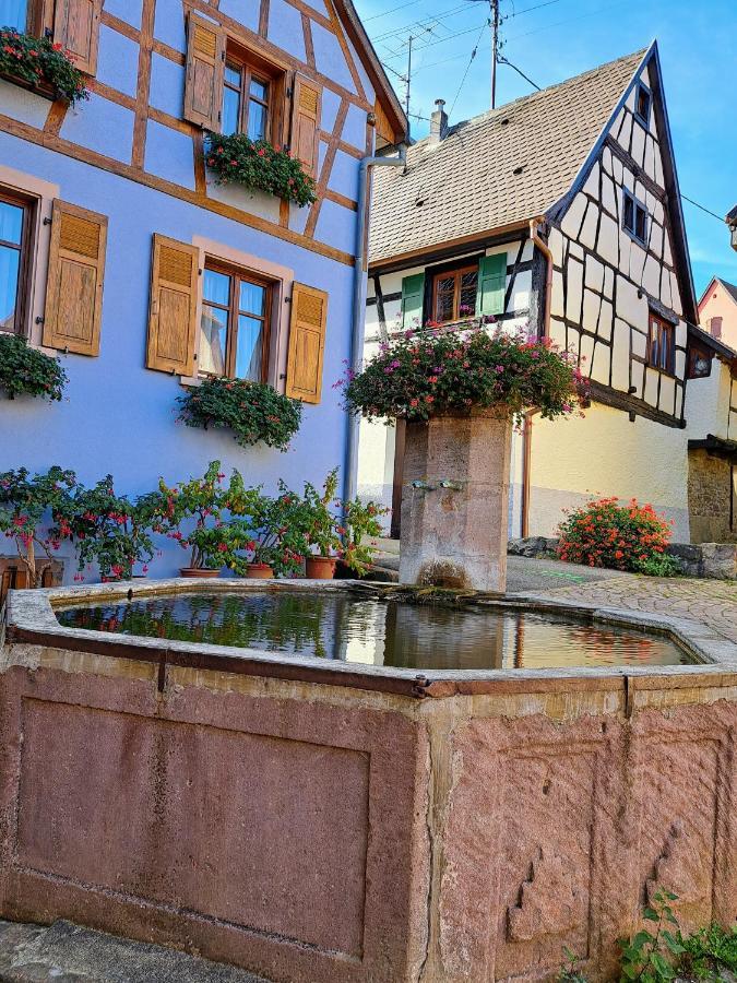 Gite Entre Vignes Et Vergers Maison Historique Gueberschwihr Esterno foto