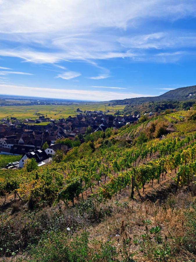 Gite Entre Vignes Et Vergers Maison Historique Gueberschwihr Esterno foto